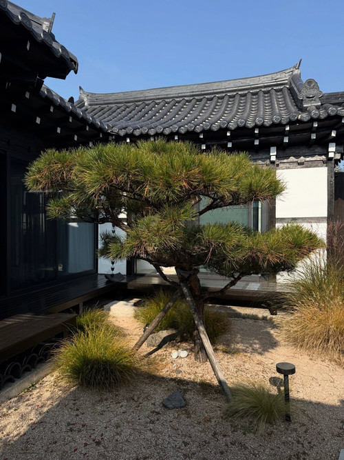 20251117 150125 DRKW9VgCWEc 01.jpg