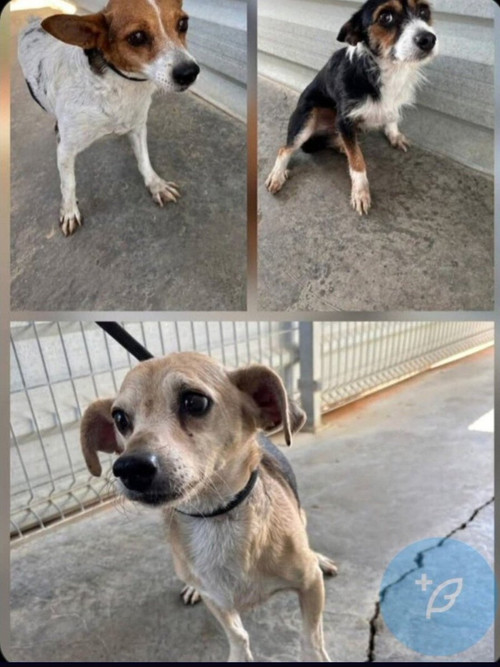 G HZV3QXAAAKbvm?format=jpg.jpg