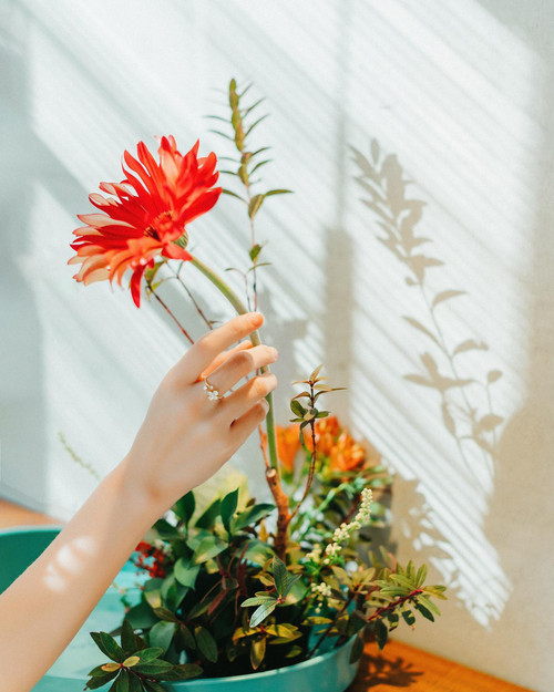 20221125 095033 ClYSgkLyp11 04.jpg