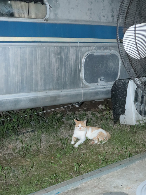 20250820 142425 DNlH jLJRW2 06.jpg