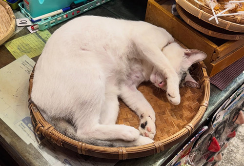 20251009 153307 DPl lb2CVzS 06.jpg