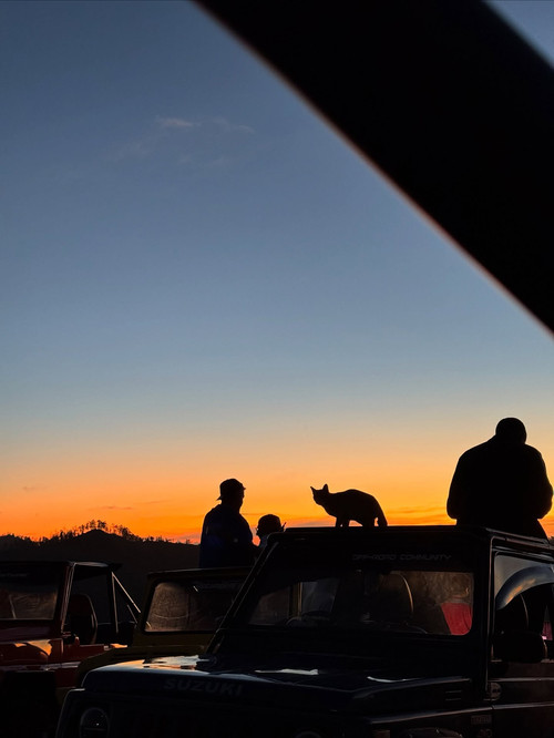 20250721 143934 DMX53KFpDc 05.jpg