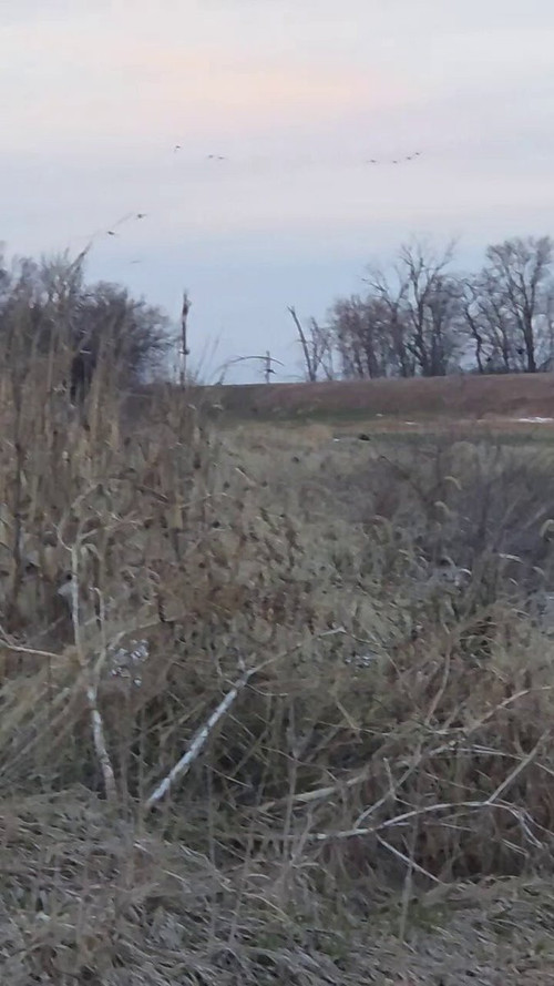 Fphc5ou SCAKKbBs.jpg