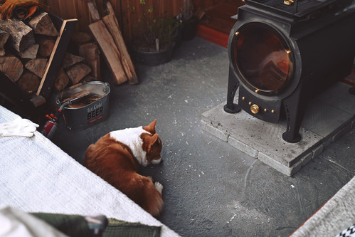 20260218 093657 DU5PwQCEdkT 08.jpg