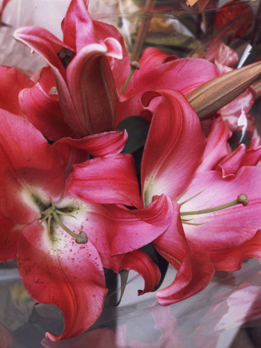 20260211 145938 DUnzHhjmlHl 04.jpg