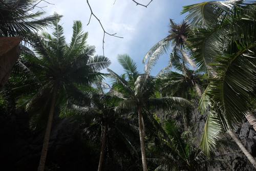 20260115 161916 DTiaxK9iWFV 05.jpg