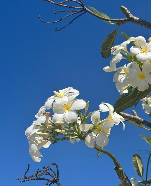 20250717 103314 DMNKfdMRAkw 05.jpg