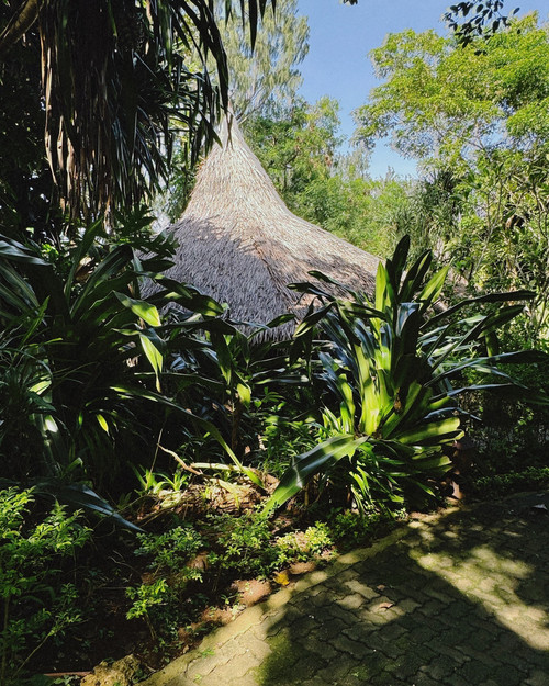 20241225 132452 DEAL COya5h 02.jpg