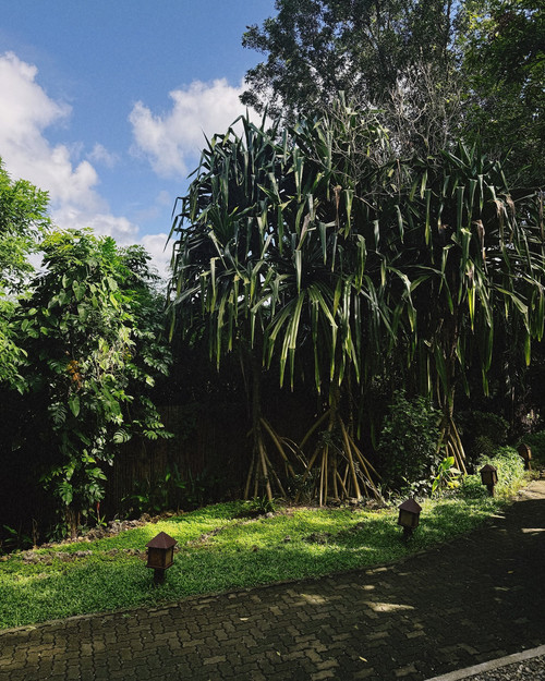 20241225 132452 DEAL COya5h 01.jpg