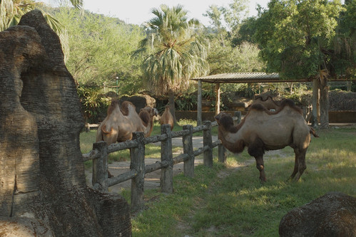 20251007 101214 DPgRRfFEfr5 02.jpg