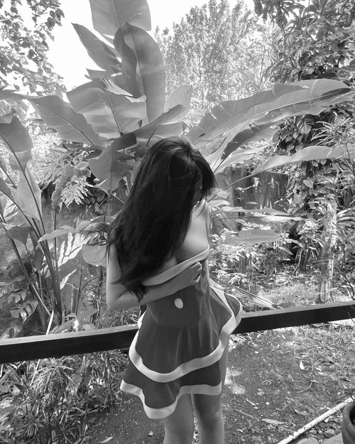 20241223 004536 DD5rfUIz4TH 01.jpg