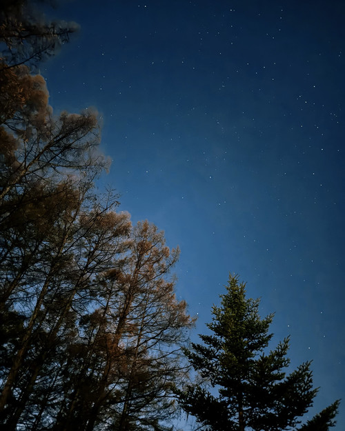 20241117 151419 DCeiSZ3S4JE 02.jpg