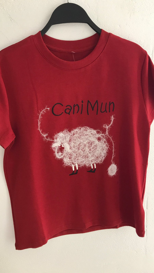 image 69bbc6cec97955.95728496.jpg