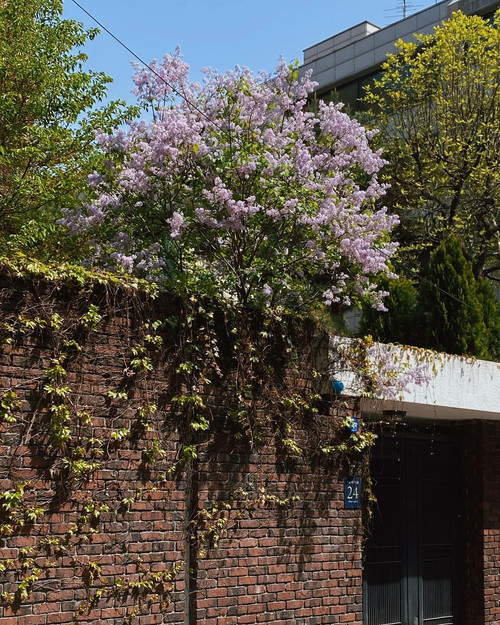 20230410 100717 Cq2giB J7S2 01.jpg