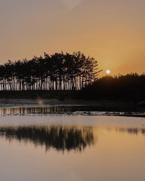 20230113 010534 CnVhYSbPHT6 03.jpg