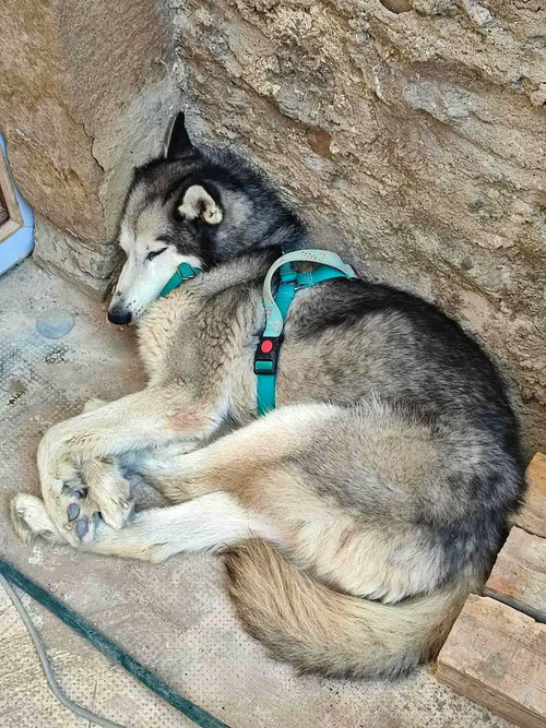 HDtknL WoAAyyAt?format=jpg.jpg