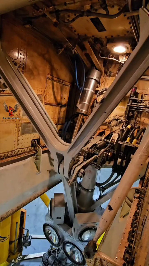 cnwlcP TlQm5Rom .jpg