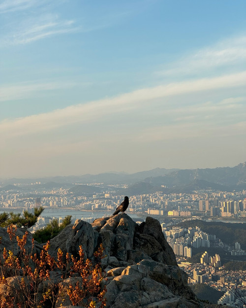 20241030 041541 DBvAmyUpQca 04.jpg