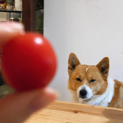 20200420 123652 B M KUxnyNl 01.jpg