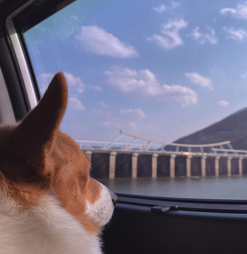 20200323 120107 B E0z43HmuO 01.jpg