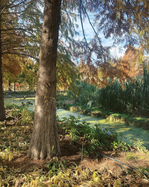 20221108 024710 CkrwiqmJCrw 02.jpg