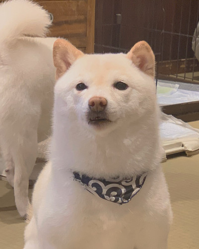 20240602 142015 C7t2jd9J1cS 05.jpg