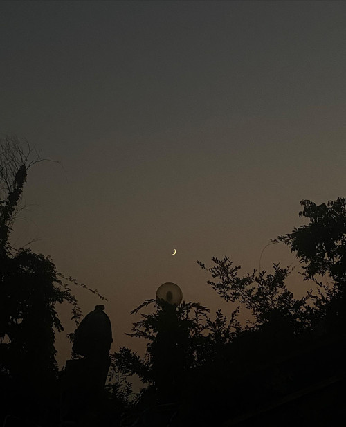 20221020 015351 Cj6vVioppyK 01.jpg