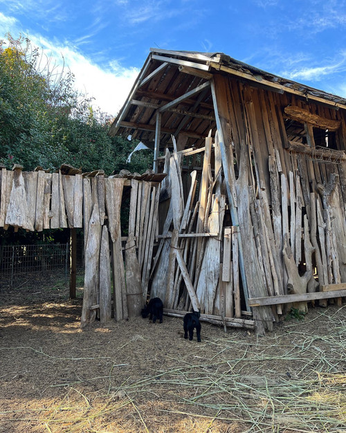 20221108 024710 CkrwiqmJCrw 05.jpg