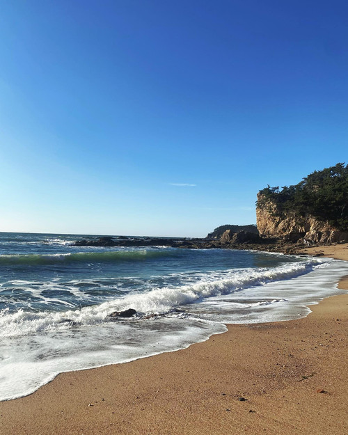 20221108 024710 CkrwiqmJCrw 03.jpg