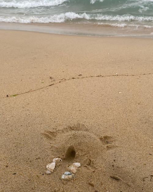 20220805 103650 Cg3 xc9JOv6 01.jpg