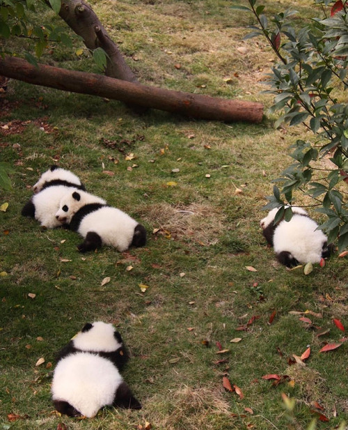 20211201 234642 CW9Y0d BvDC 01.jpg