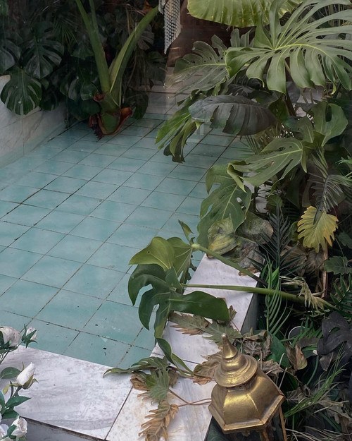 20220113 032836 CYp7mfCpZ4R 01.jpg