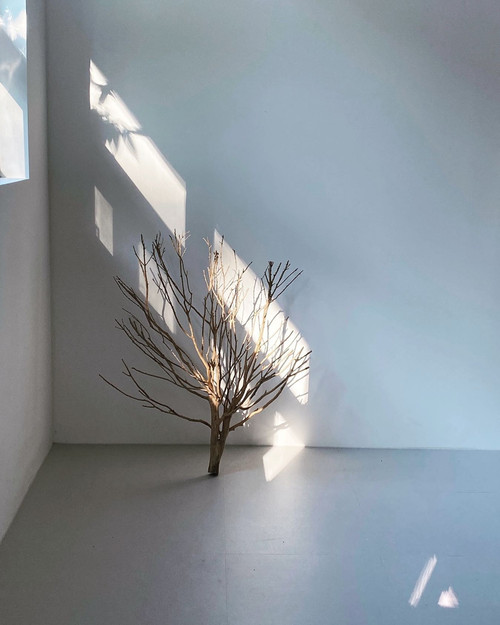 20210923 235536 CULu XZhn92 01.jpg