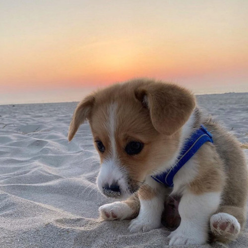 20210813 002020 CSfobsDJ6GS 01.jpg