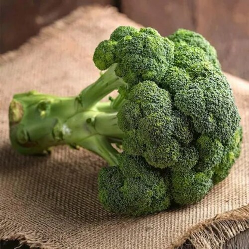 Broccoli g1.jpg