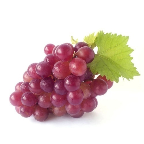 Grape1.jpg