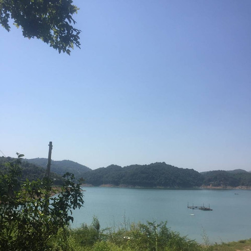 Image 2026 03 19 171202 350.jpg