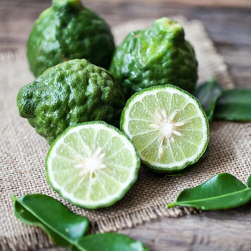 Kaffir Lime 3.jpg