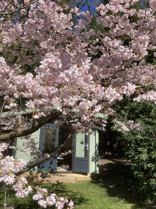 HDtuxRtWQAA3x Z?format=jpg.jpg