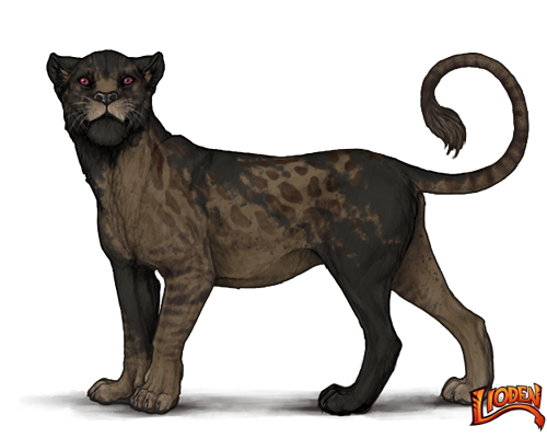 lioden wardrobe5 ezgif.com effects.png