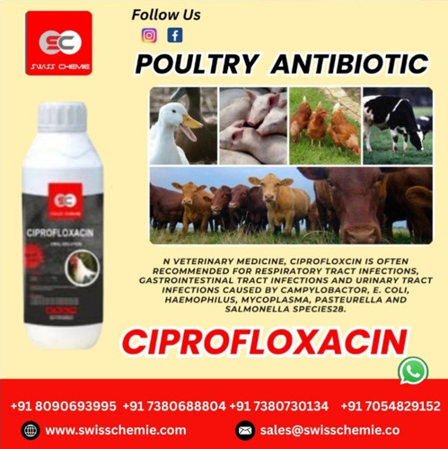 Broad-Spectrum Efficacy Recommended for respiratory, gastrointestinal, and urinary tract infections..jpg