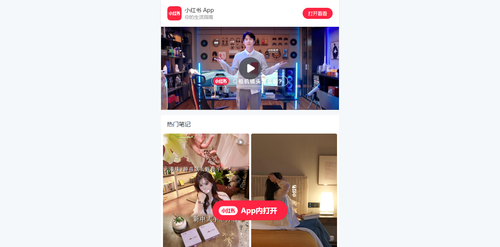 xiaohongshu login2.png