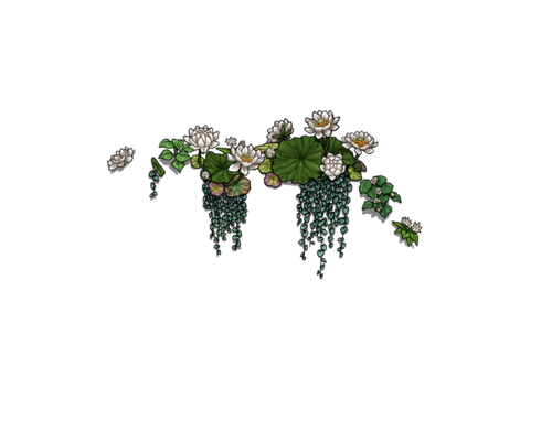 flowering white adol.png