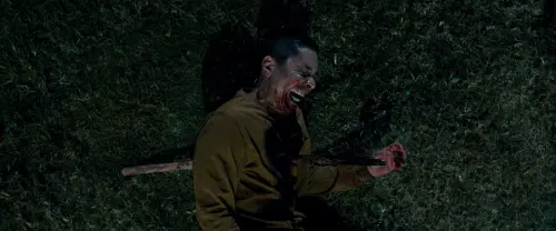 img 69b9ae4b4e5982.93327844.webp