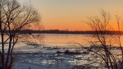 PjfvkEHEd4C lmdt.jpg