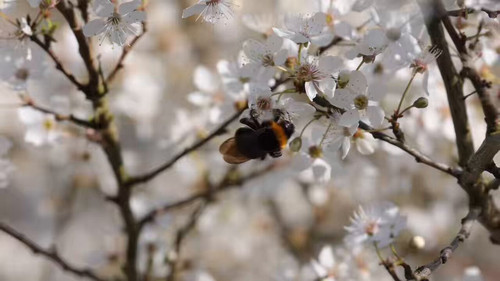 Mbozm WSR4HBOX 2.jpg