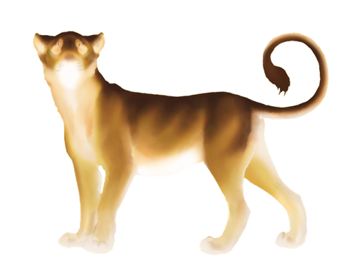 Untitled336 20260319014423.png