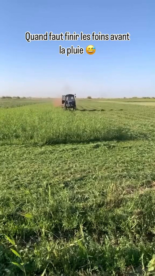 1YpWM05Xz EUxBd0.jpg