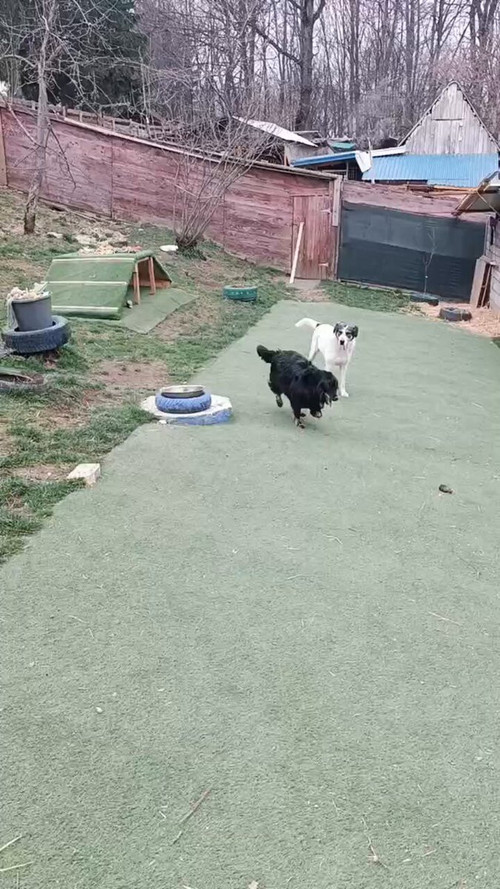 0 R8P4wg1QeVx C0.jpg