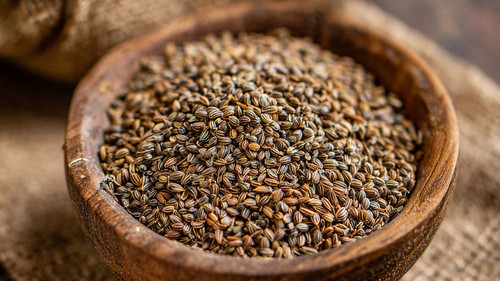 82a382 bf44df40766f4684a9c0cd971312bbba~mv2.jpg